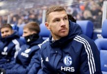 Edin Dzeko revive su carrera en el Schalke 04