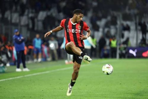 todibo
